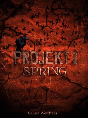 cover image of Spring--Projekt I